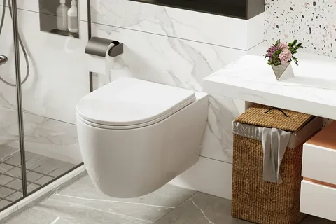 modern concealed toilet cistern with a stylish bathroom design